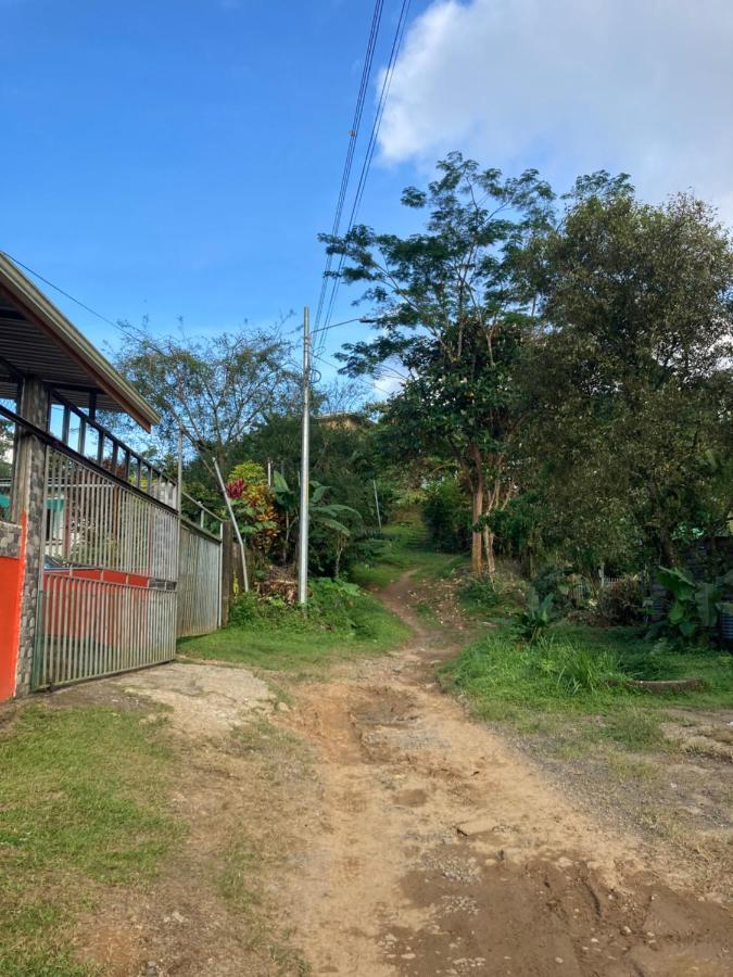 Pez Espada Tours Y Cabinas Drake Bay Exterior foto