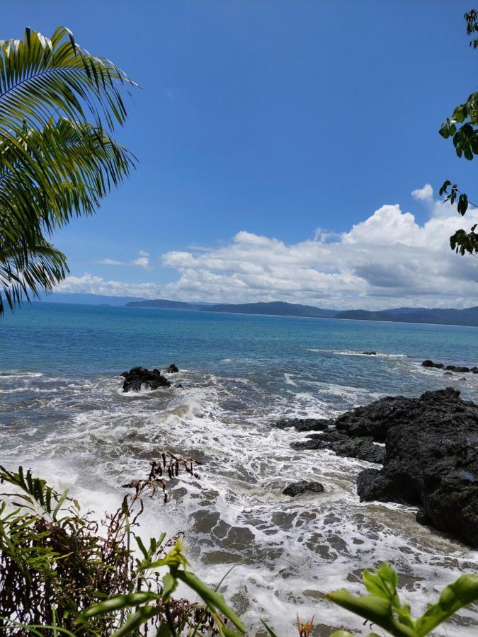 Pez Espada Tours Y Cabinas Drake Bay Exterior foto